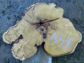 Koláče -  orechové drevo, fošne, rezivo - 15