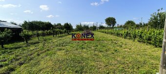 Rodinný dom v obci BORŠA – NA PREDAJ - 15
