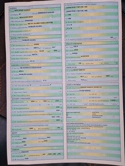 Predám Mercedes-Benz Sprinter 318 CDI 135 KW Automat - 15