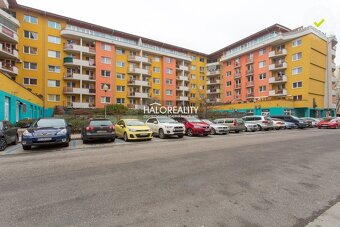 HALO reality - Prenájom, jednoizbový byt Bratislava Petržalk - 15