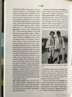 Ďábelská garda, Karol Marx Kapitál, Anton Rašla, Špiesz Reme - 15