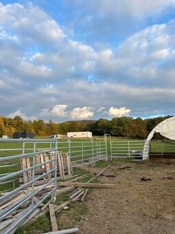 Ustajnenie v Lehote pod Vtáčnikom - 15