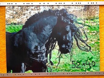 NHL kartičky, tapety koňov,... - 15