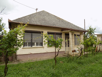 Tehlový 3 izb. dom v obľúbenej vinohradnickej obci Strekov p - 15