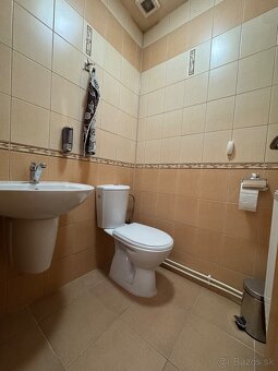 Budova na podnikanie v Sečovciach - 15