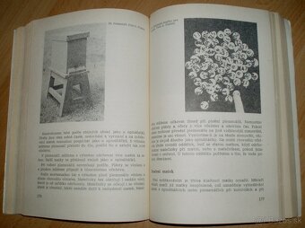 Včelarství - 15