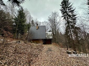 NEWCASTLE⏐PREDAJ - 3-izbová chata, Tajov - 15