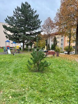 3 izbový rekonštruovaný byt s vlastným kúrením,72 m2, Lipany - 15