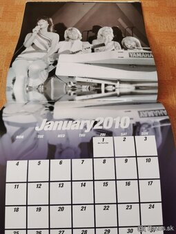 ABBA CALENDAR 2009 - 15