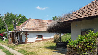 Predám pozemok na samote medzi vinohradmi pri Leviciach. - 15