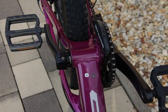 CTM Raptor 2.0. - 15