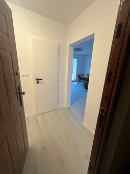 Novo zrekonštr. 2 izb. byt s loggiou, P.Horova - 15