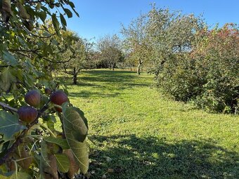PREDAJ - RODINNÝ DOM - ZLATÉ MORAVCE - 15