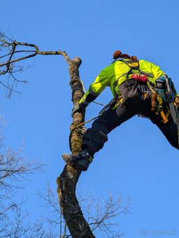Rizikový výrub a orez stromov, kosenie a údržba pozemkov - 15
