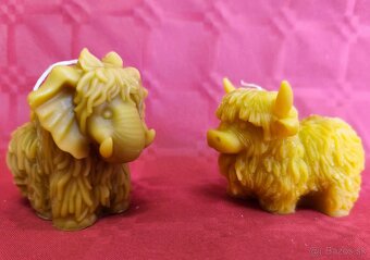 Predám sviečky z včelieho vosku. - 15