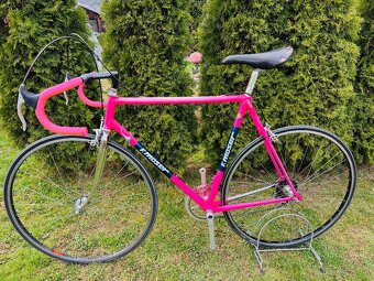 F.Moser Team SLX - 15