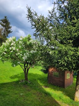 Dom s krásnymi záhradami - 15