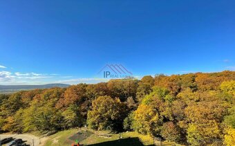 2 izbový byt s loggiou na Veternicovej ulici, kompletná reko - 15