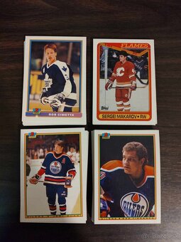 Predám kartičky NHL z 90 rokov (UD,Top.,pinnac,MVP, Metal u) - 15