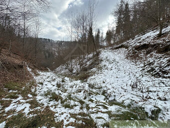 Investičná príležitosť: 4,6ha lesný pozemok s chatou blízk - 15
