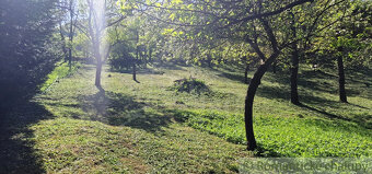 Ovocný sad s možnosťou výstavby s jedinečným výhľadom na - 15