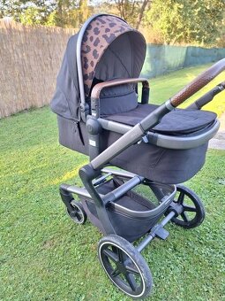 Kočik Joolz Day + Tailor - 15