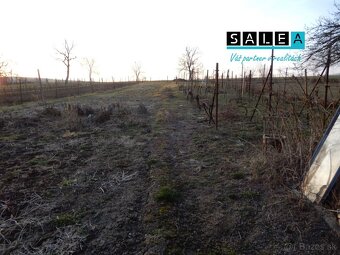 VÝHODNÁ PONUKA Slnečné dva domy na jednom pozemku,  130 m2, - 15
