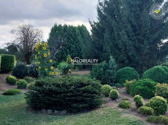 HALO reality - Predaj, rodinný dom Radošovce, na sezónne i t - 15