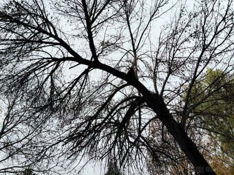 Slnečný, teplý 3 izb. s balkónom, A. Stodolu, Prievidza - 15