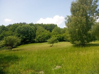 Rekreačná chalupa - 15