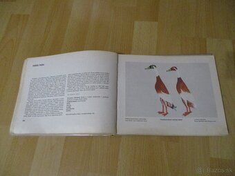 Atlas plemien hydiny - 15