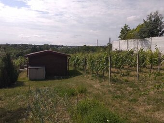Rekonštruovaný viničný dom vhodný aj ako celoročné bývanie L - 15