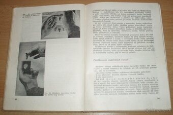 Chov včelích matiek - 15