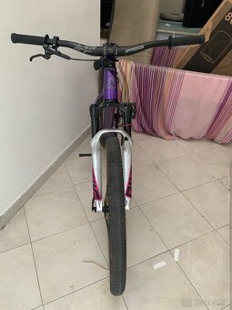 Ctm dirtking 2024 pro - 15