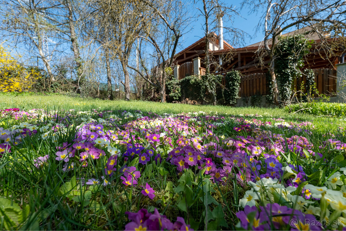 Pozemok s panoramatickým výhľadom | Vencová – Kalvária - 16