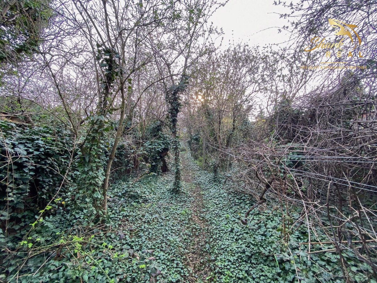 Znížená cena - Jedinečná príležitosť - Historický vinársky d - 16