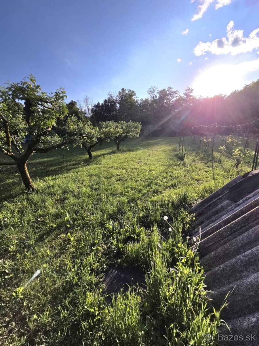 PREDAJ poschodový dom v obci Pastovce s pekným pozemkom - 16