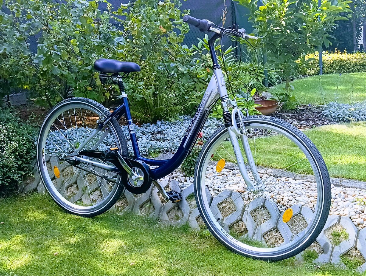Bicykel Phill Roggers - 16