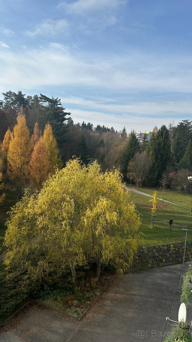 2-izb.slnečný byt s balkónom - 16