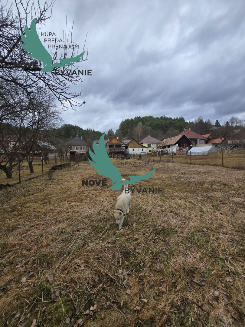 VÝHODNÁ PONUKA - DOM - CHALUPA - V DOLNEJ LEHOTE - PREDAJ - 16