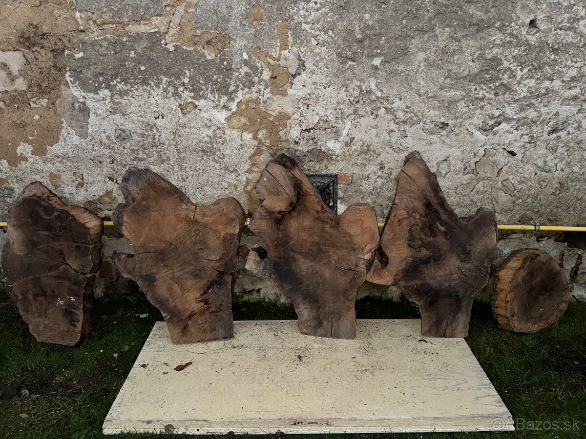 Orechove rezivo - 16