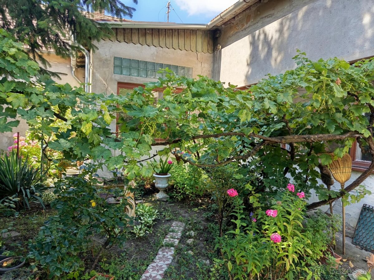 NA predaj rodinný dom v úplnom centre mesta LEvice - 16