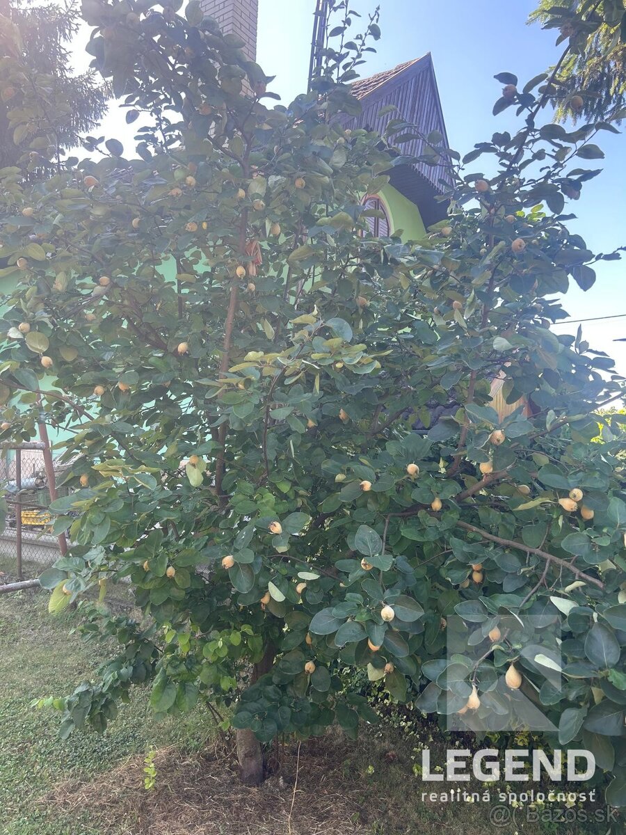 Krásna záhrada s malou murovanou chatkou v Kolárove, Čergov - 16