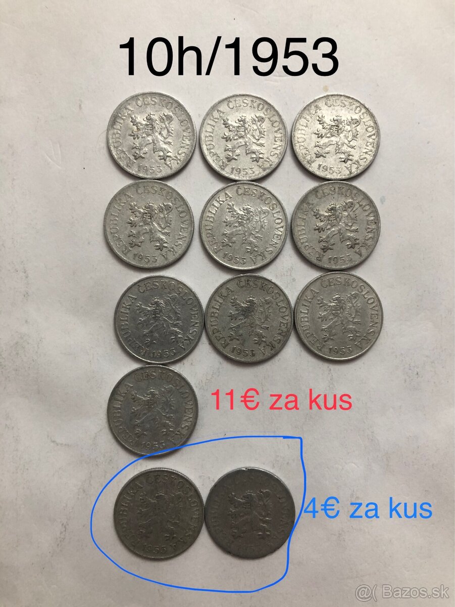 Mince (50h/10h/20h) - 16