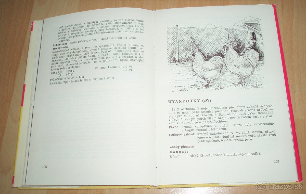 Plemená drubeže - 16