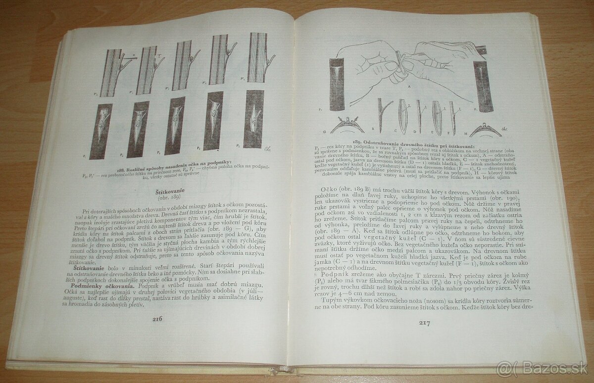 Štepenie, očkovanie a preštepovanie drevín - 16