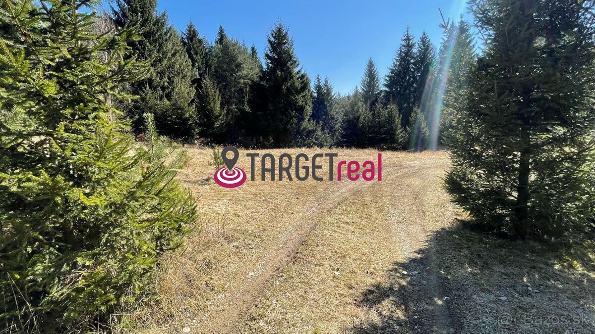 TARGETreal | NA PREDAJ REKREAČNÁ CHATA S 5 STAVEBNÝMI POZEMK - 16