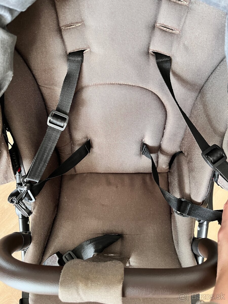 Roan Bloom hnedý - 16