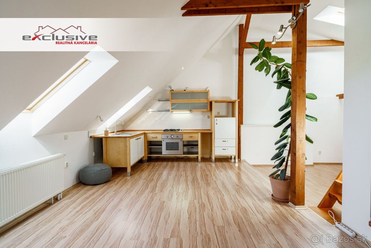 5 IZ.ROD.DOM - ZOBOR, NITRA, 667 M2 POZEMOK - POKOJNÁ LOKALI - 16