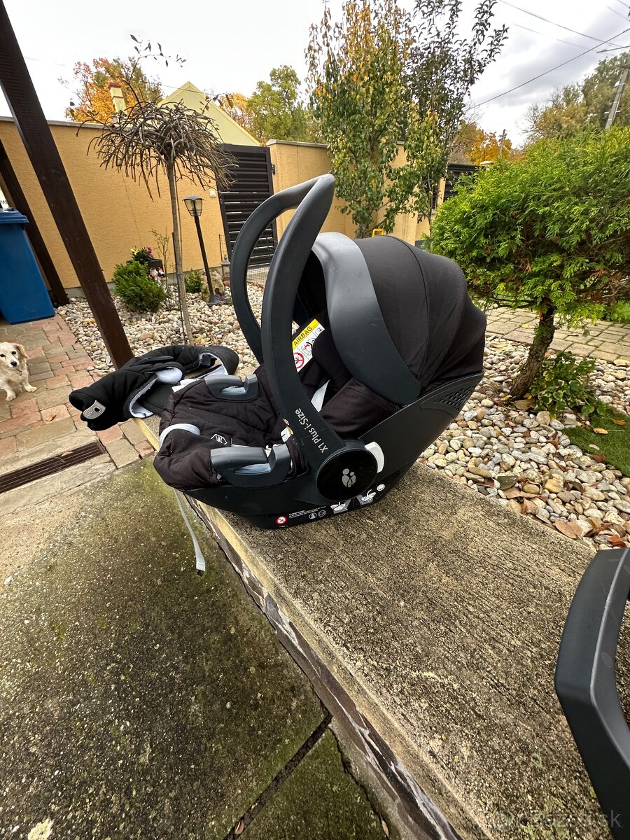 Kočiar coletto dante - 16